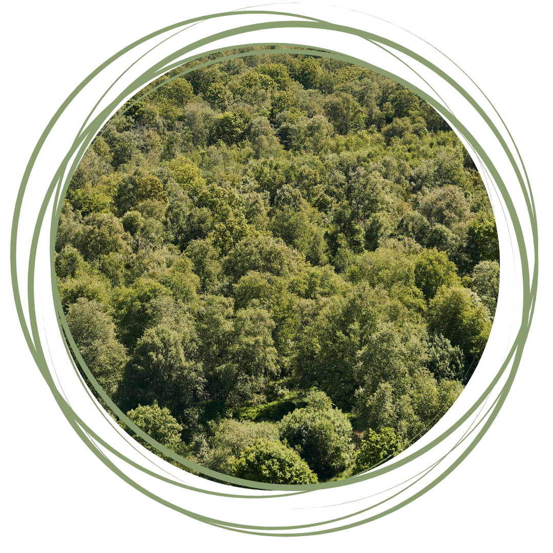 etik og datasikkerhed