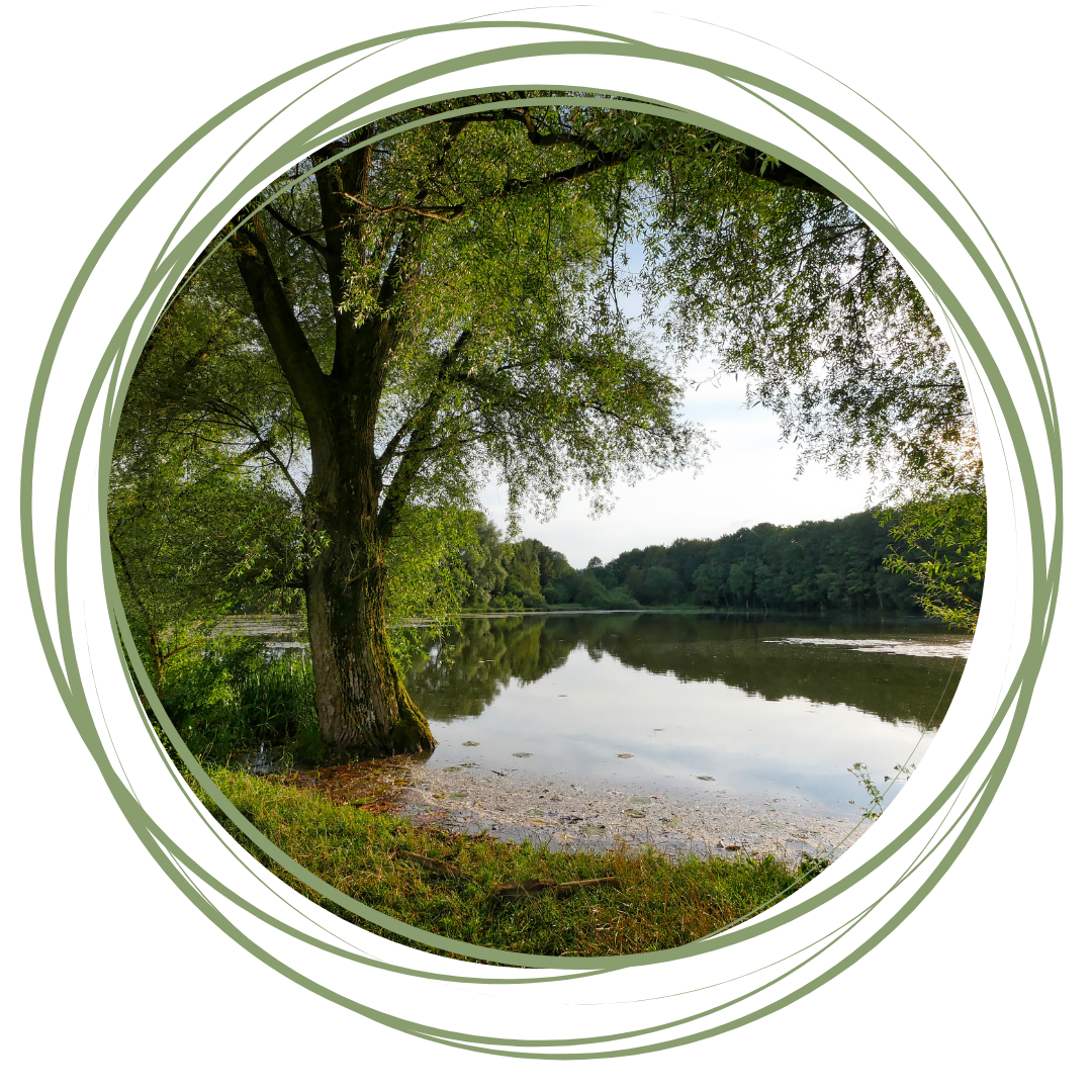 hypnoseterapi herning