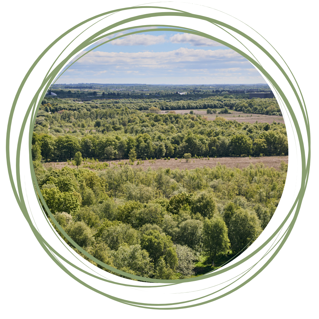 hypnoseterapi herning